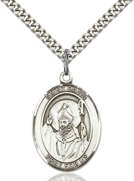 Sterling Silver Saint David of Wales Necklace Set