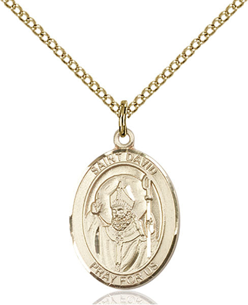 Gold-Filled Saint David of Wales Necklace Set