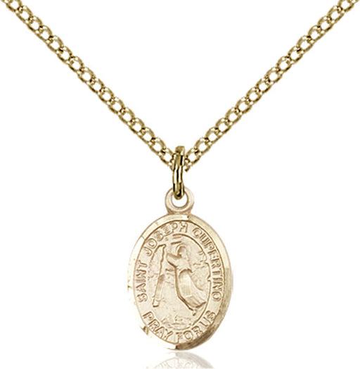 Gold-Filled Saint Joseph Of Cupertino Necklace Set